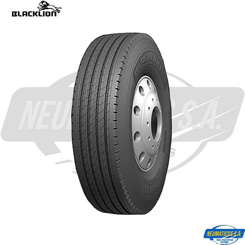 NEU. 295/80R22.5 BLACKLION BT165 DIREC18 152/149